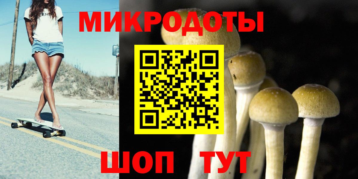 Псилоцибиновые грибы мицелий Арсеньев