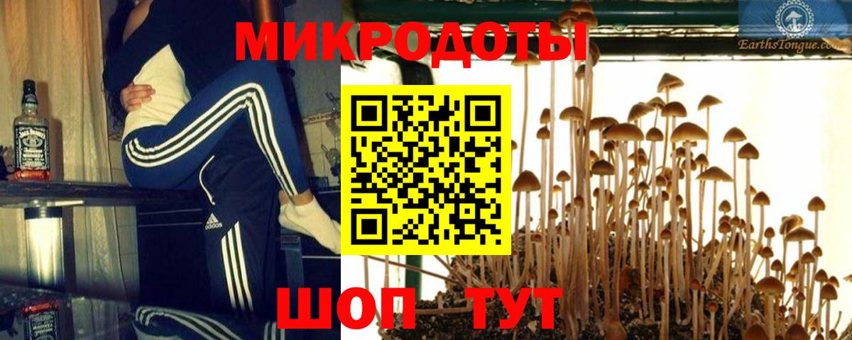 наркота  Вход с VPN  Арсеньев  Псилоцибиновые грибы ЛСД 