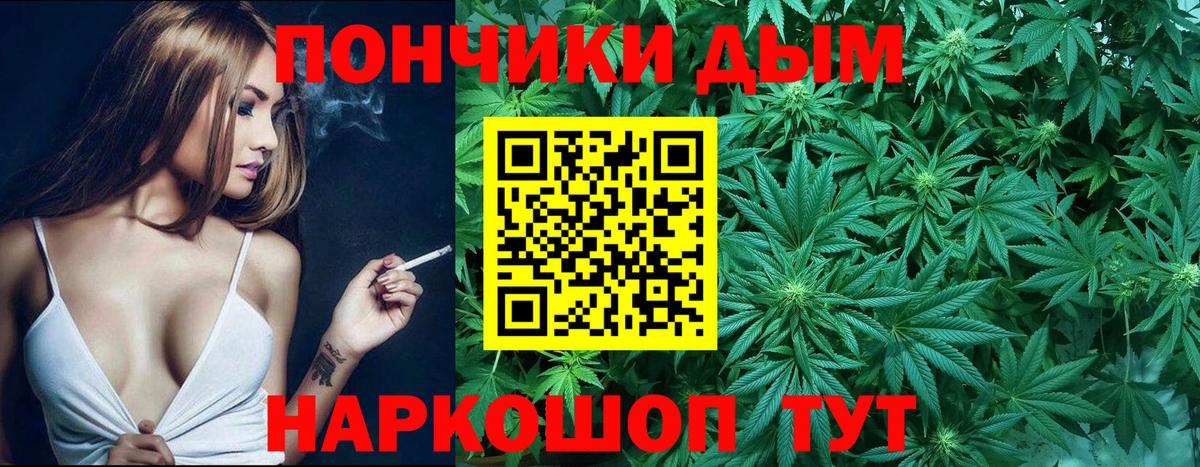 Бошки Шишки гибрид Арсеньев